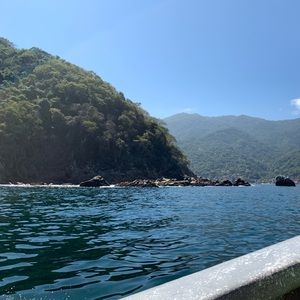 Meet your Posher, Gigi